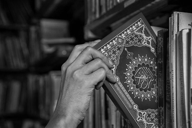 كيفية إنشاء موقع Quran Reader & Streaming لإسلامي بدون برمجة