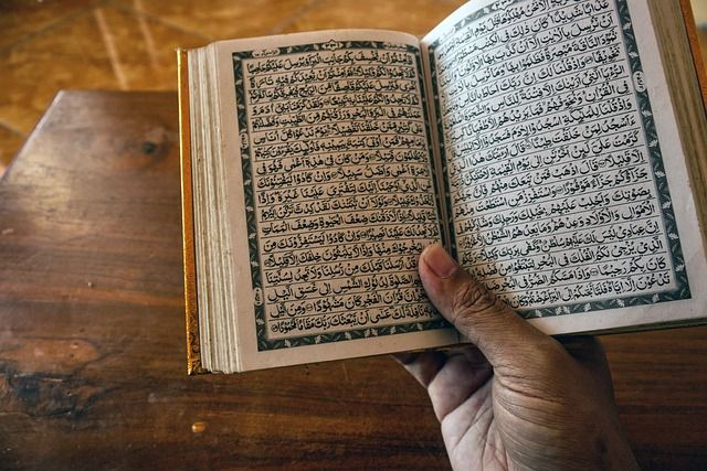 كيفية إنشاء تطبيق تصحيح التجويد لنشاطك الديني بدون برمجة
