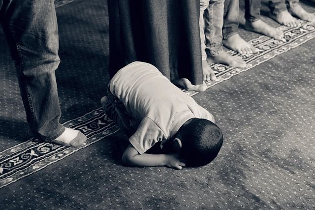 كيفية إنشاء منصة Islamic Knowledge & Education بدون برمجة