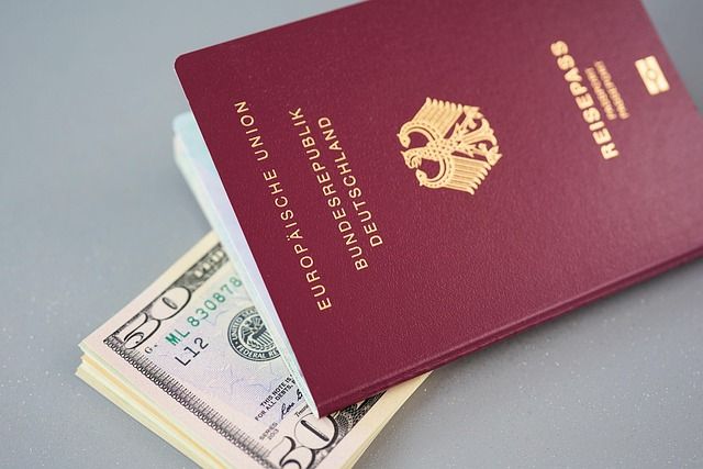 كيفية إنشاء موقع Immigration & Visas لمكتب قانوني بدون برمجة