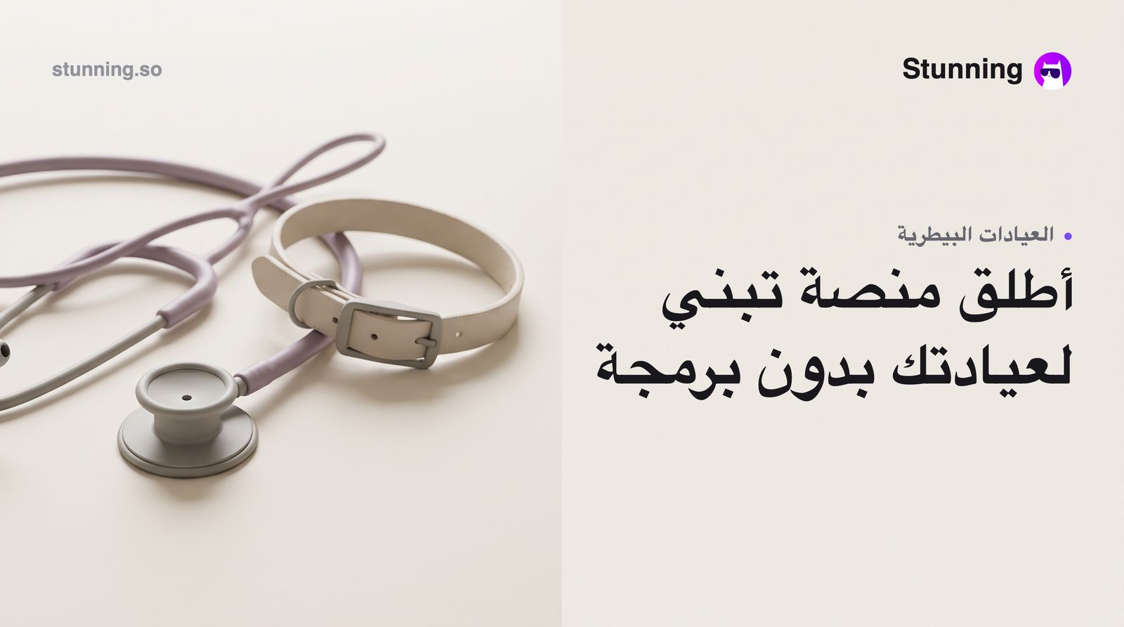 كيفية إنشاء منصة تبني حيوانات أليفة لعيادتك البيطرية (بدون برمجة)