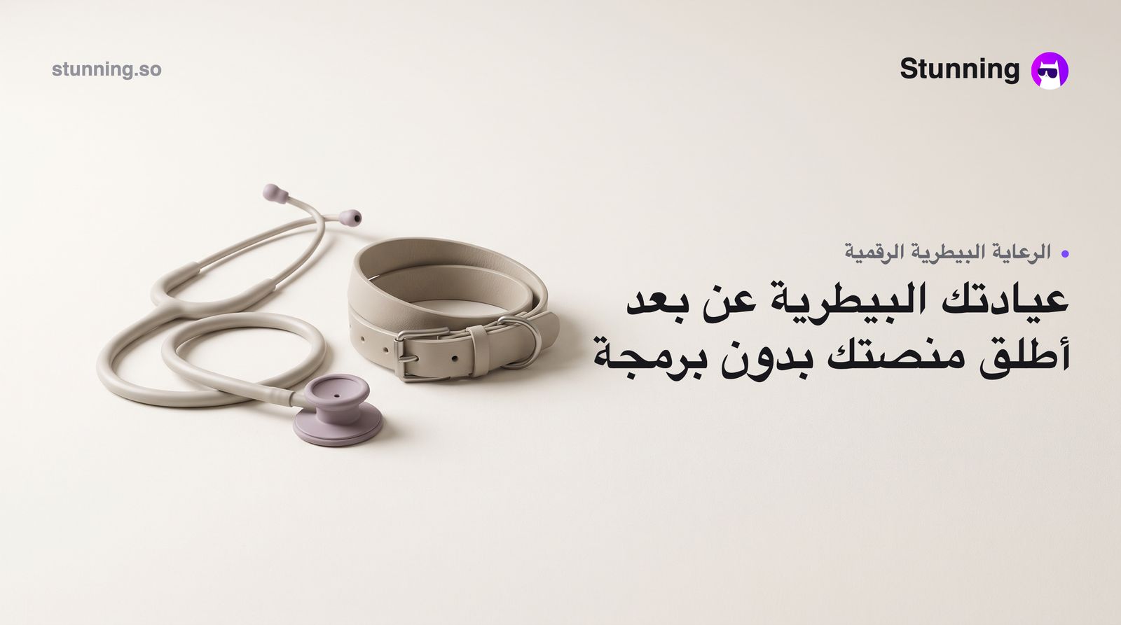 كيفية إنشاء منصة Pet Telemedicine لعيادة البيطرة (بدون برمجة)