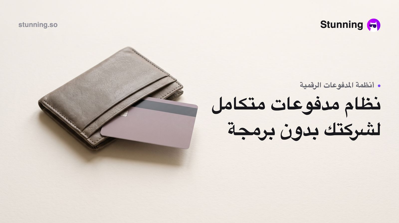 كيفية إنشاء نظام مدفوعات ومحافظ رقمية لـ finance بدون برمجة