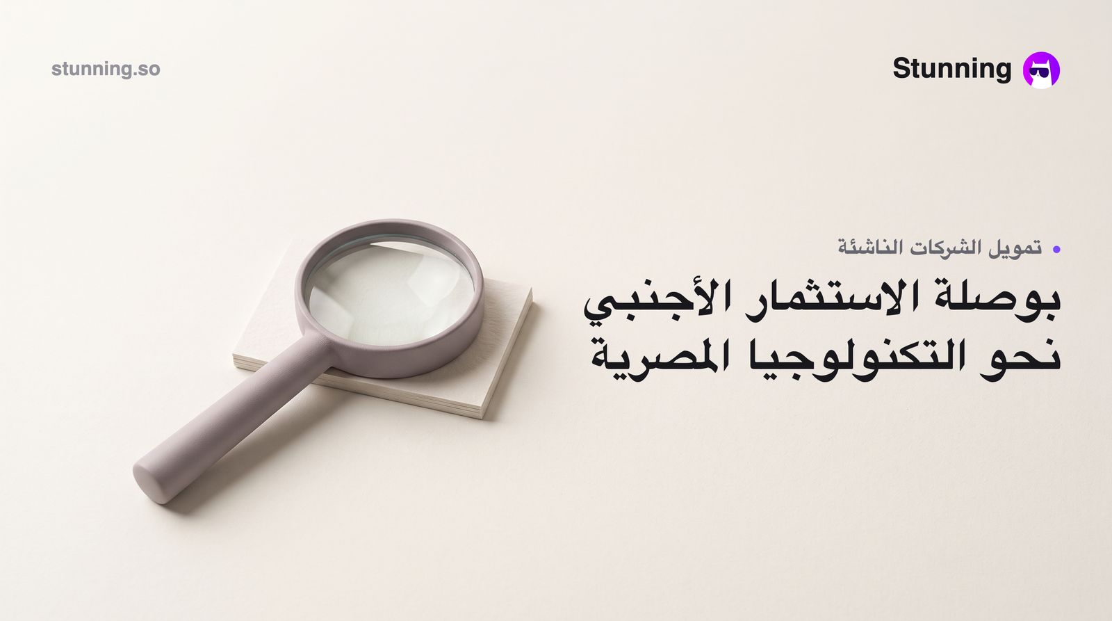 كيف تستقطب صناديق الاستثمار الأجنبية الشركات الناشئة المصرية في الذكاء الاصطناعي