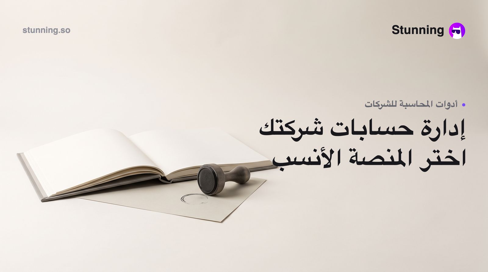 شاريكاتي vs Stunning: أيهما أفضل لمحاسبة MENA؟