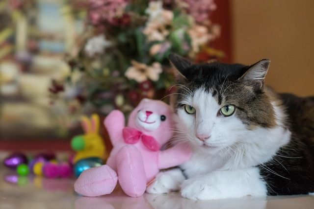 بديل Lovable: كيف تتجنب مشاكل الكريدت وتبني مشروعك