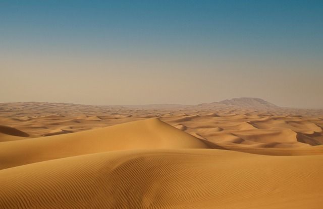 كيف تبني وكيل ذكاء اصطناعي للعقارات مثل الدار وغلوبانت (بدون برمجة)