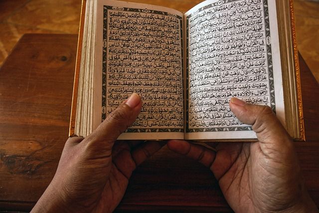 How to Build a Quran Reader Streaming Site (No Code)
