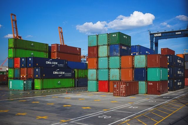 How to Build a Freight Import Export Platform for Your Logistics Business