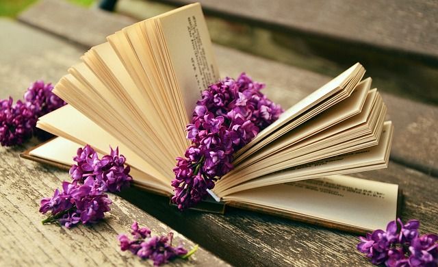 Book Creation Tools for Your Printing & Publishing Business
