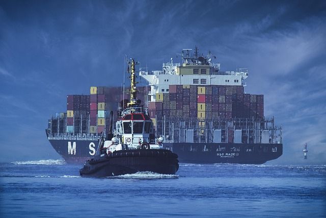 Cómo crear una plataforma de importación y exportación de carga para tu negocio de logística