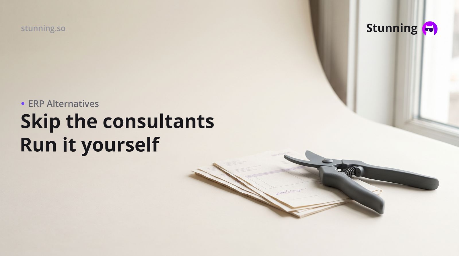 Odoo Alternative: Skip the Consultant Bill
