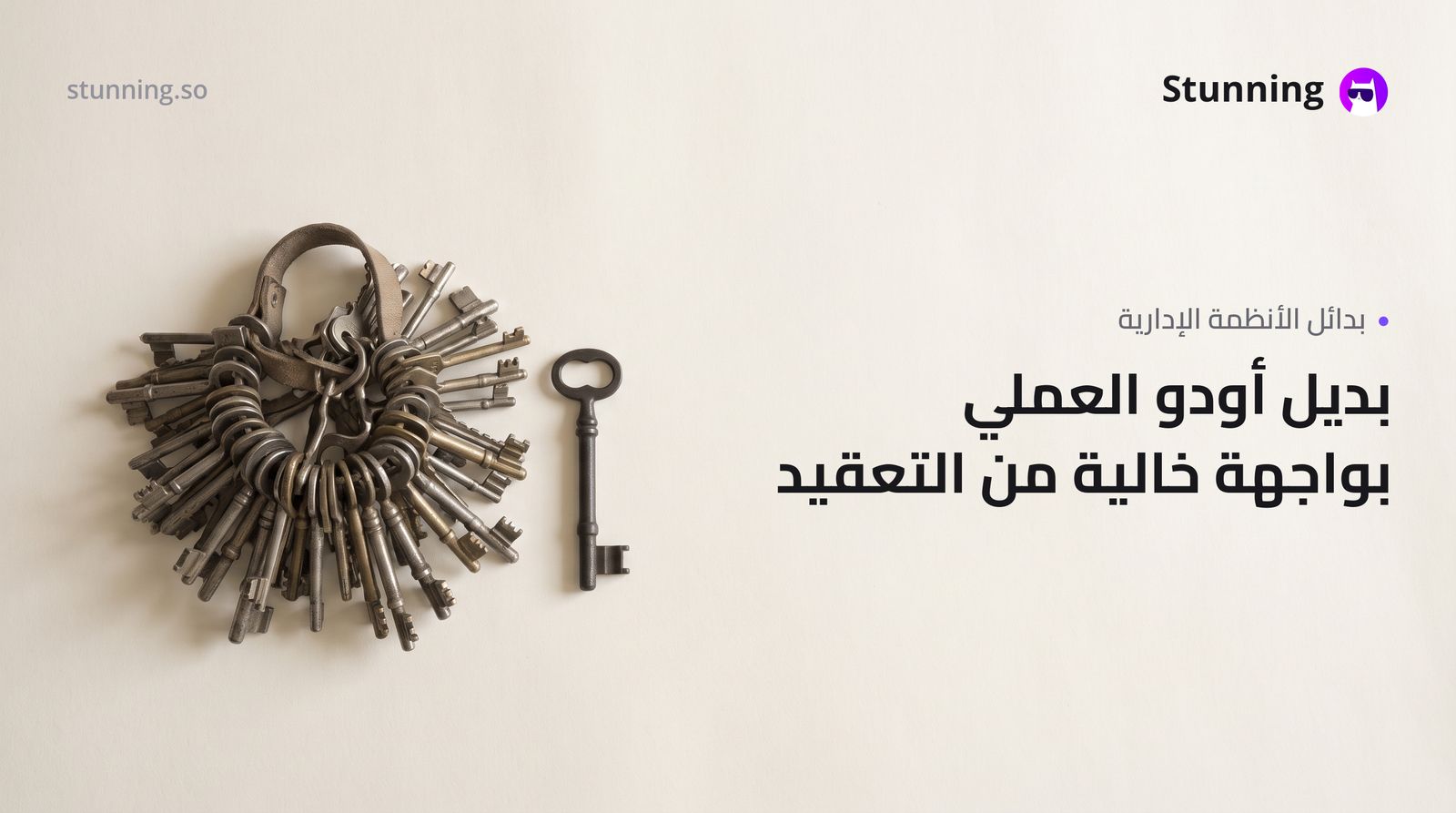 بديل Odoo لأصحاب الأعمال: بدون برمجة ولا تعقيد