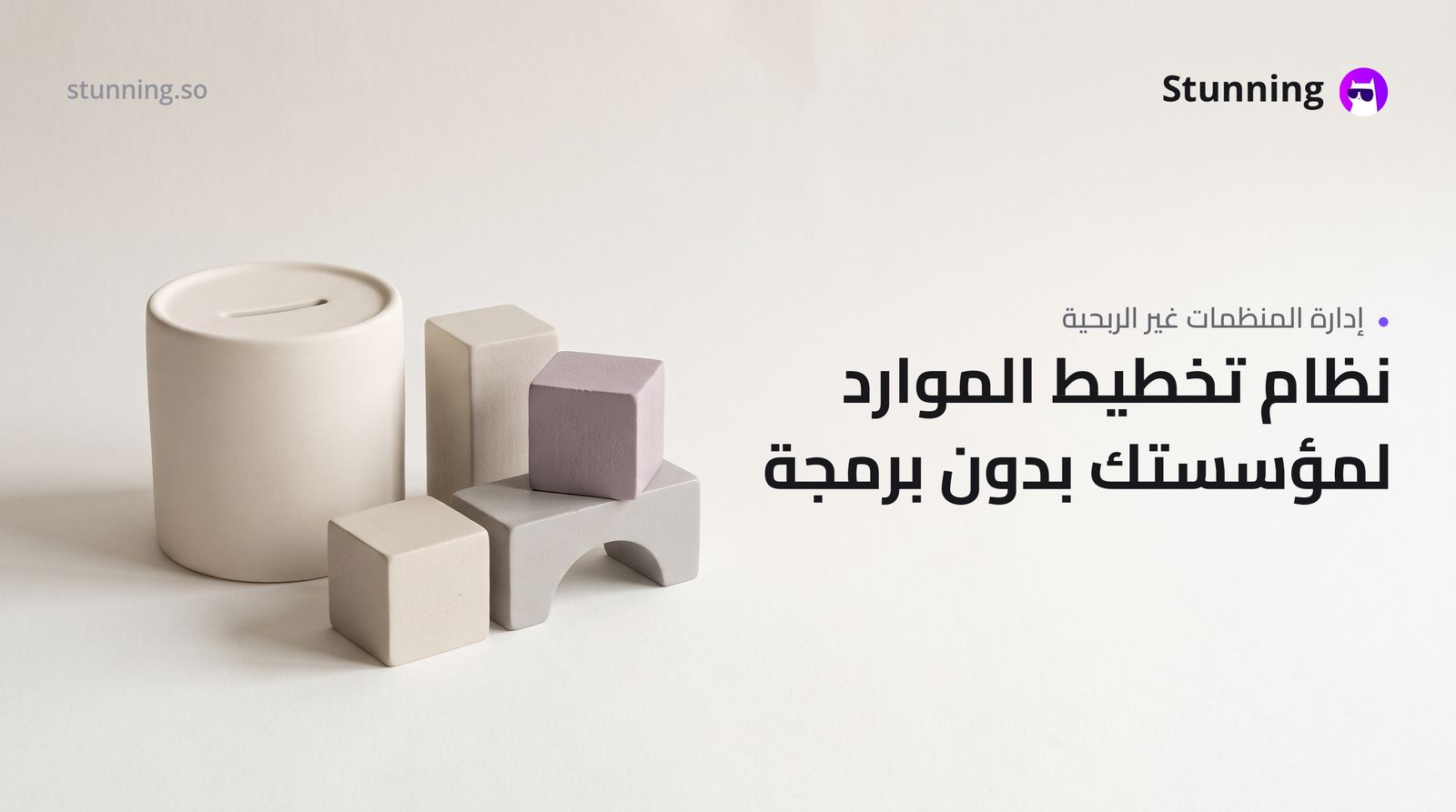 كيفية إنشاء ERP لمنظمة غير ربحية بدون برمجة