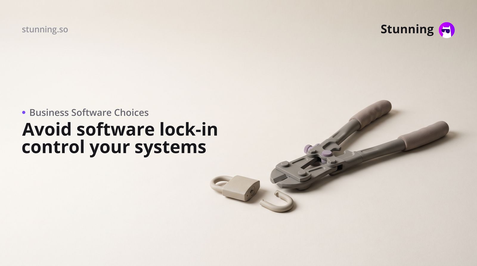 Odoo Alternative: Escape Forced Upgrades and Lock-In