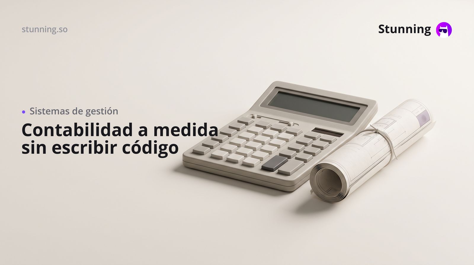 Cómo crear un ERP de contabilidad sin programar