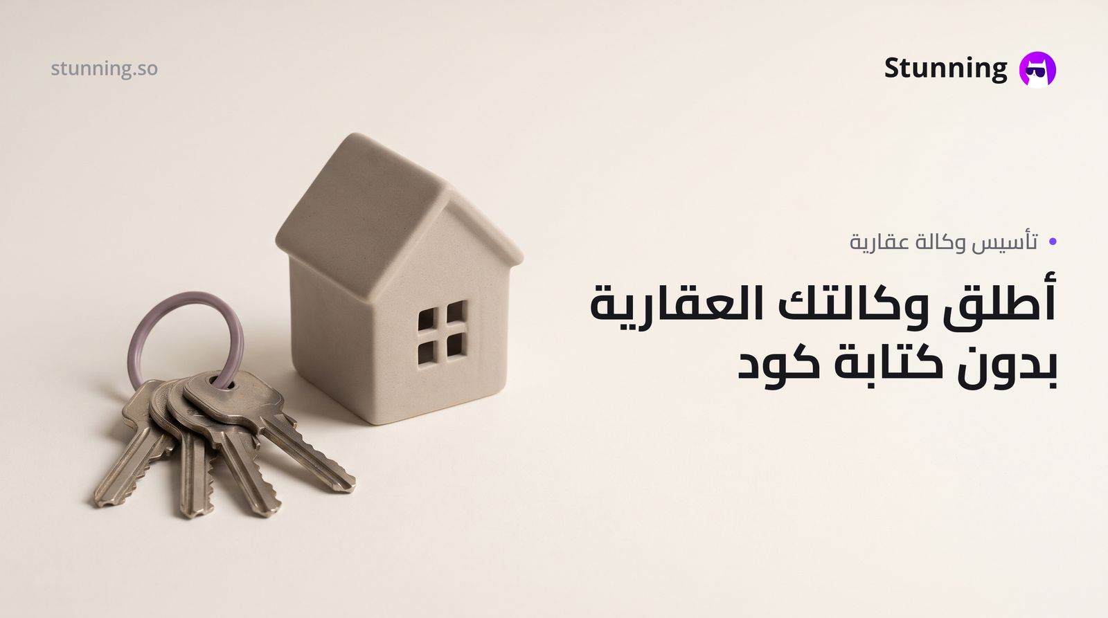 كيفية إنشاء Agency لـ Real Estate بدون برمجة