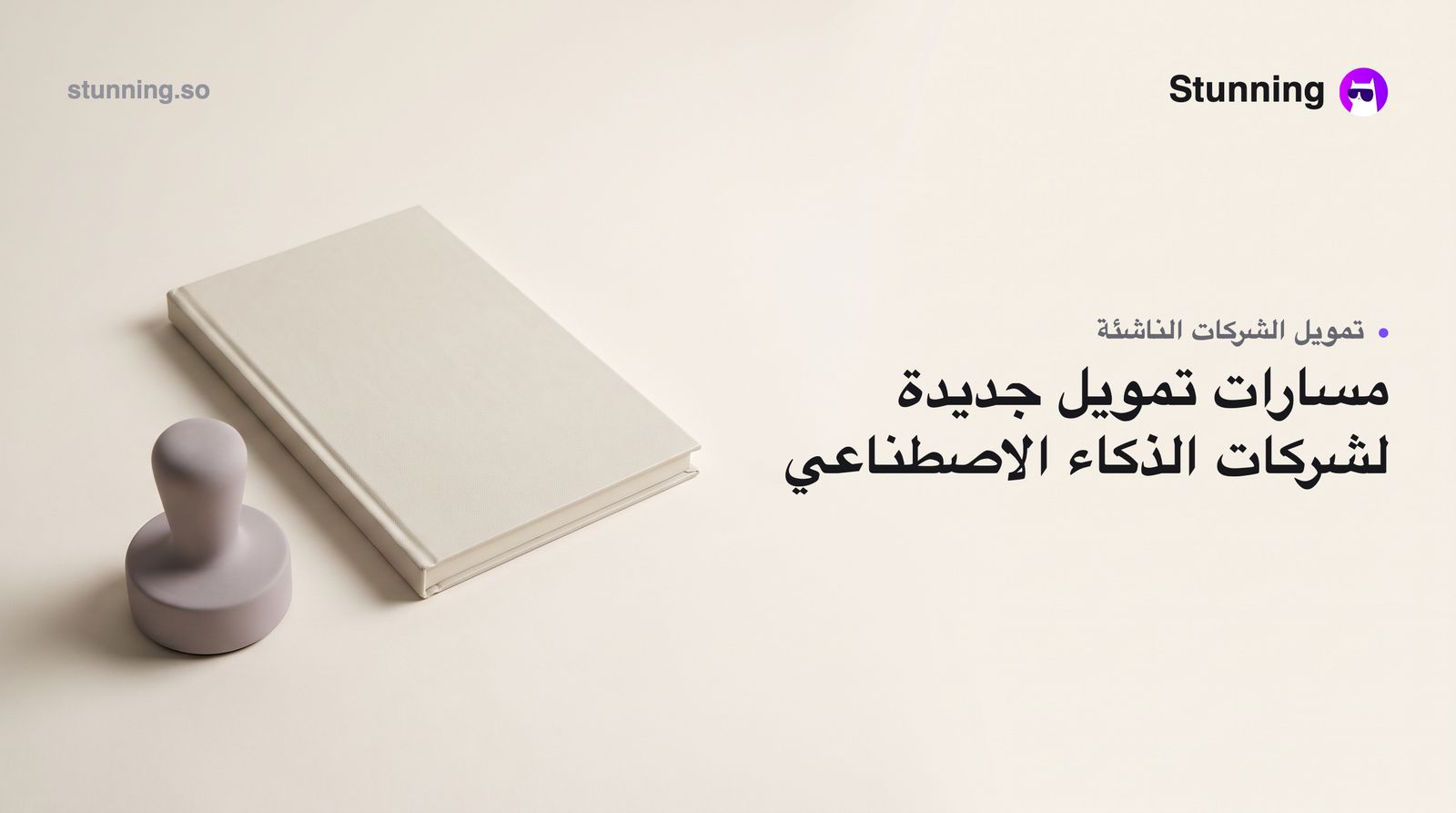 كيف تستفيد من دعم هيئة الحكومة الرقمية و STV للذكاء الاصطناعي