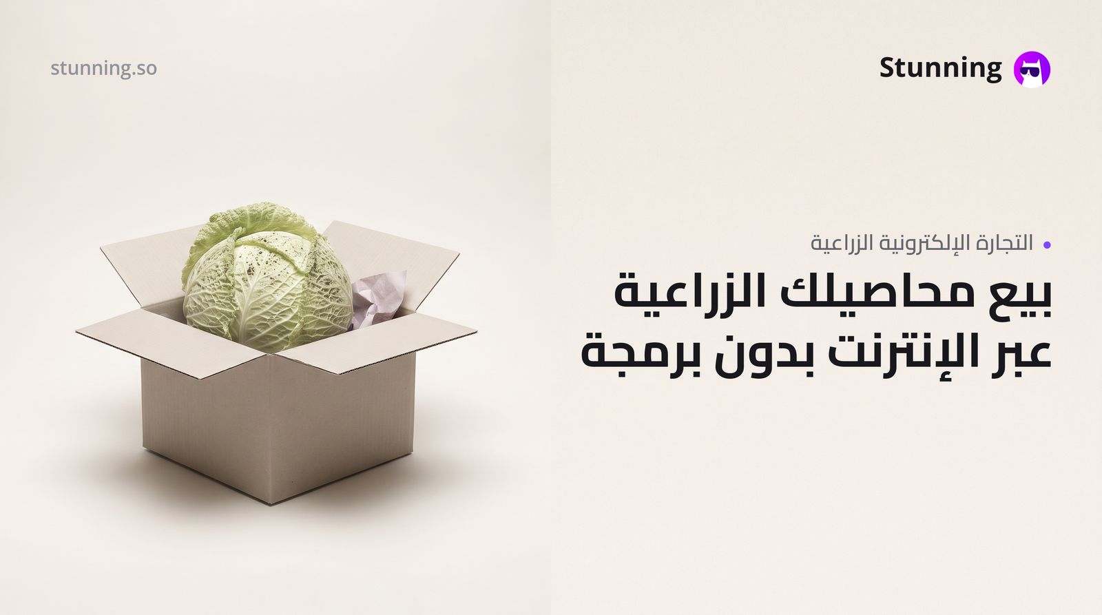 كيفية إنشاء متجر إلكتروني للمنتجات الزراعية بدون برمجة