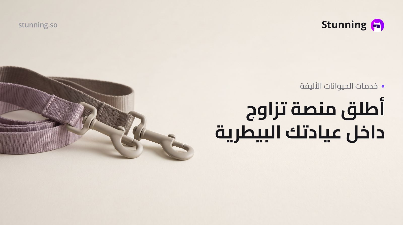 كيفية إنشاء منصة Breeding & Matchmaking لعيادات ورعاية الحيوانات الأليفة