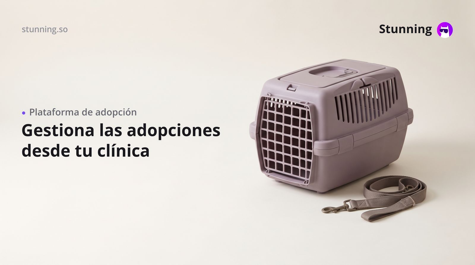Cómo crear una plataforma de adopción para tu clínica veterinaria