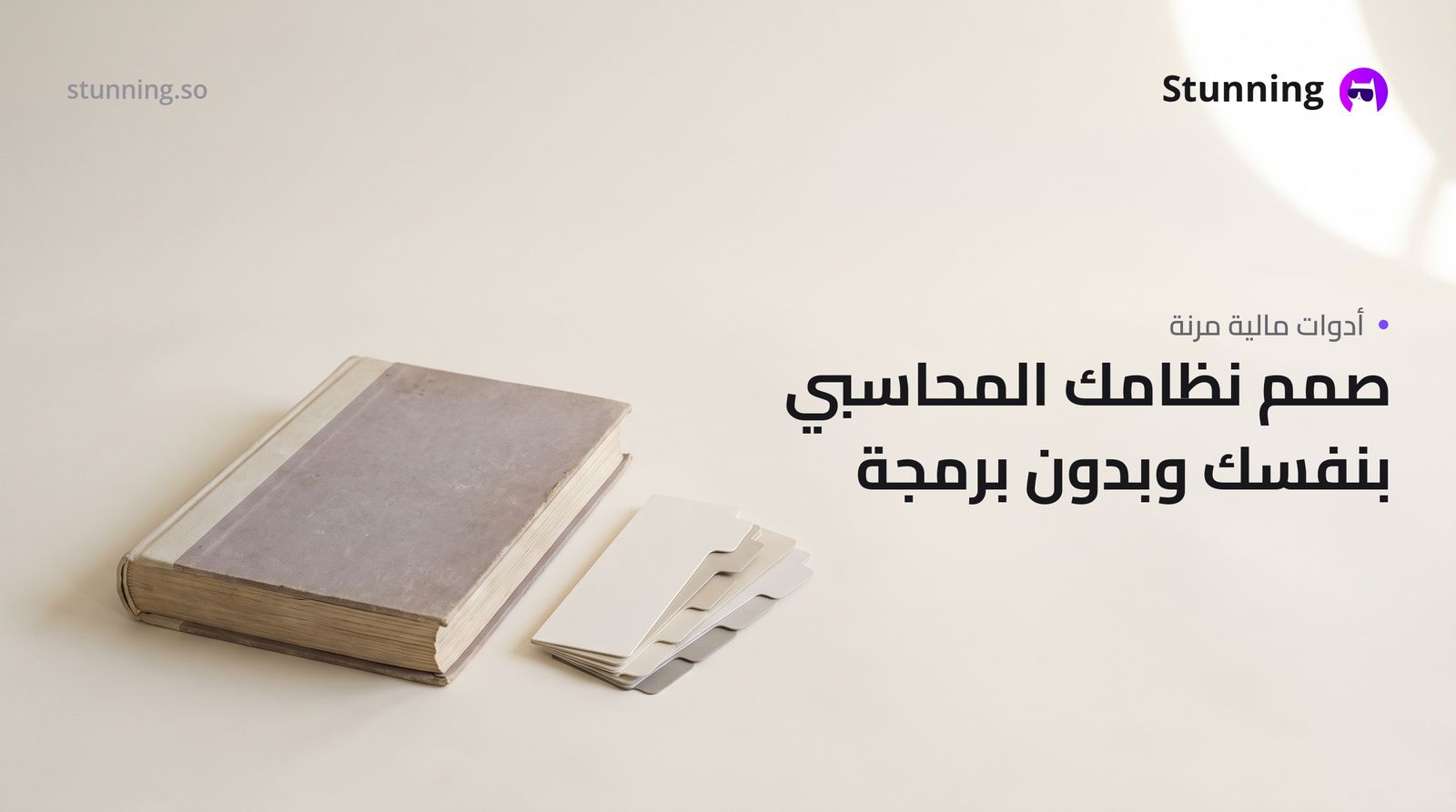كيفية إنشاء نظام محاسبة مخصص لمتطلباتك الفريدة (بدون برمجة)